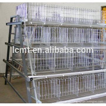 material de jaula de pollo galvanizado profundo para gallinas ponedoras